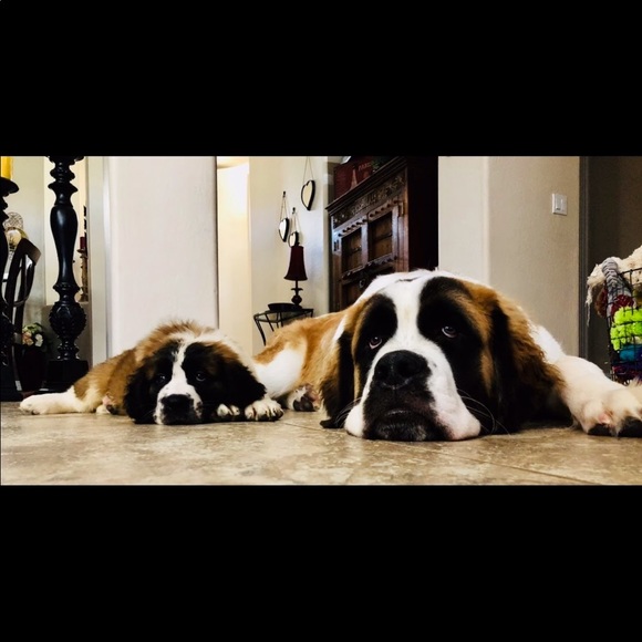 I ship DAILY 🌺&  I  L❤️VE  Online Shopping 💞 - Picture 2 of 8